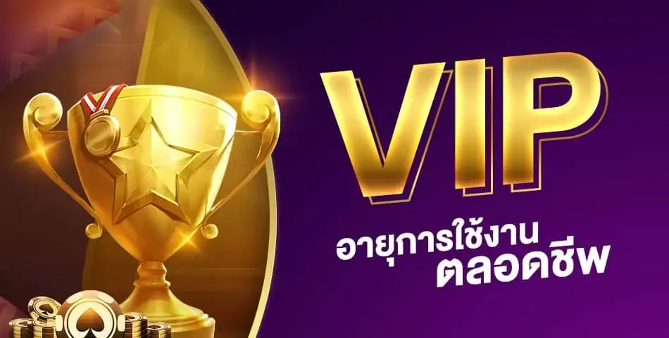 จุดเด่นที่ทำให้ได้รับความสนใจ